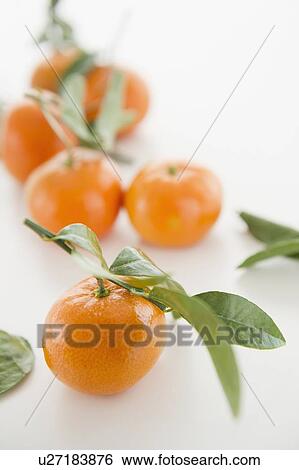 Stock Photograph - Close up of tangerines with leaves, studio shot. Fotosearch