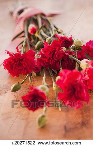 Close up of Valentine's Day flowers, studio shot View Large Photo Image Stock Image - Close up of Valentine's Day flowers, studio shot. Fotosearch