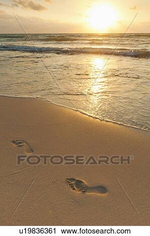 Stock Image - Footprints on beach at sunset. Fotosearch