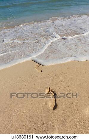 Footprints on beach View Large Photo Image Stock Image - Footprints on beach. Fotosearch