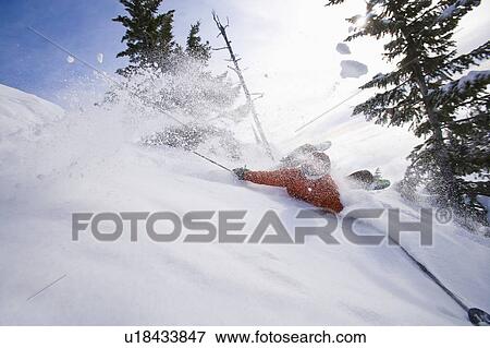 Man collapsing on powder snow while skiing View Large Photo Image Stock Photo - Man collapsing on powder snow while skiing. Fotosearch
