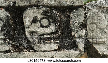 Mayan carvings representing human skulls View Large Photo Image Stock Image - Mayan carvings representing human skulls. Fotosearch