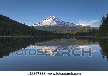 Mount Hood reflecting in Trillium Lake View Large Photo Image Stock Image - Mount Hood reflecting in Trillium Lake. Fotosearch