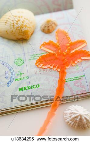 Passport with plastic palm View Large Photo Image Stock Photography - Passport with plastic palm. Fotosearch