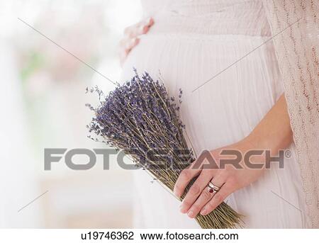 Stock Image - Pregnant woman holding bunch of lavender. Fotosearch