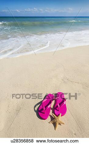 Stock Photo - Sandals with starfish on beach. Fotosearch