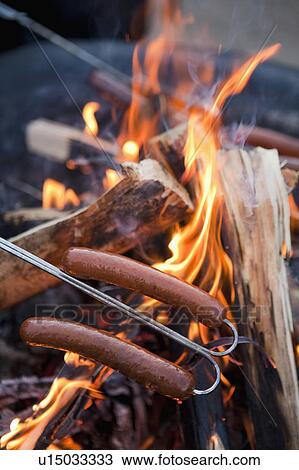 Sausages being grilled on bonfire View Large Photo Image Stock Image - Sausages being grilled on bonfire. Fotosearch
