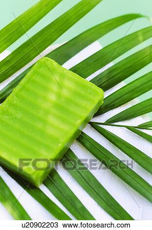 Soap and palm leaf View Large Photo Image Stock Image - Soap and palm leaf. Fotosearch