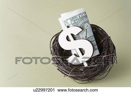 Studio shot of dollar symbol and banknote in bird's nest View Large Photo Image Stock Image - Studio shot of dollar symbol and banknote in bird's nest. Fotosearch