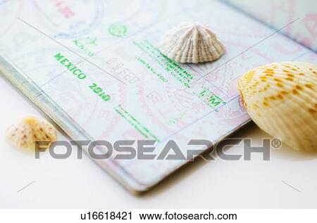 Studio shot of passport with seashells View Large Photo Image Stock Image - Studio shot of passport with seashells. Fotosearch