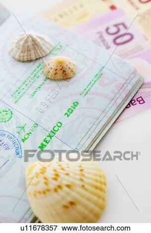 Studio shot of passport with seashells View Large Photo Image Stock Photo - Studio shot of passport with seashells. Fotosearch