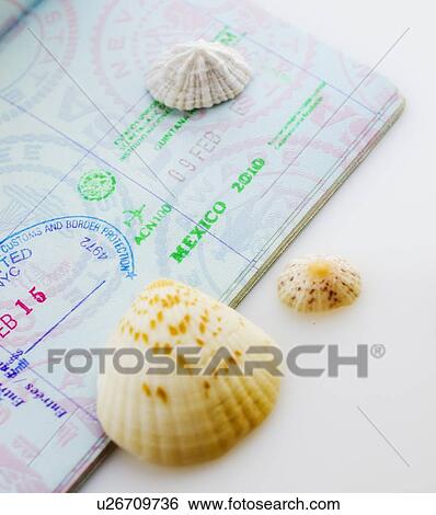 Studio shot of passport with seashells View Large Photo Image Stock Photograph - Studio shot of passport with seashells. Fotosearch