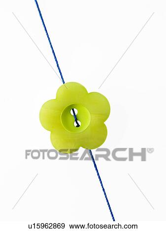 Studio shot of single green button on thread View Large Photo Image Stock Photo - Studio shot of single green button on thread. Fotosearch