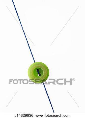 Stock Photograph - Studio shot of single green button on thread. Fotosearch