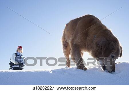Stock Photo - Woman hiking with her dog in winter scenery. Fotosearch