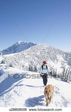 Stock Photograph - Woman hiking with her dog in winter scenery. Fotosearch
