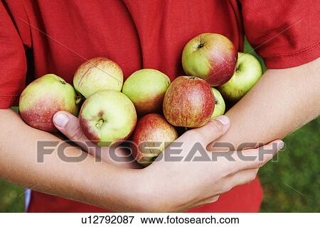 Child carrying armful of fruit View Large Photo Image Stock Photo - Child carrying armful of fruit. Fotosearch