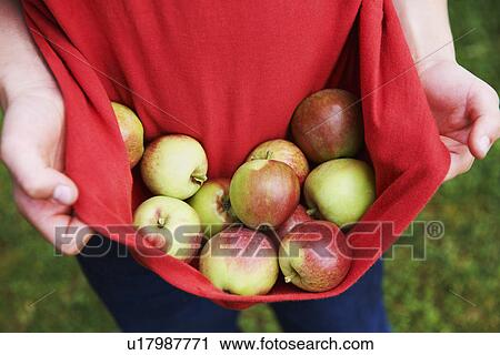 Stock Image - Child carrying fruit in shirt. Fotosearch