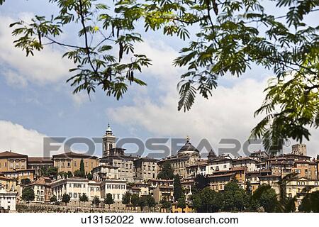 Stock Image - City skyline under tree branches. Fotosearch