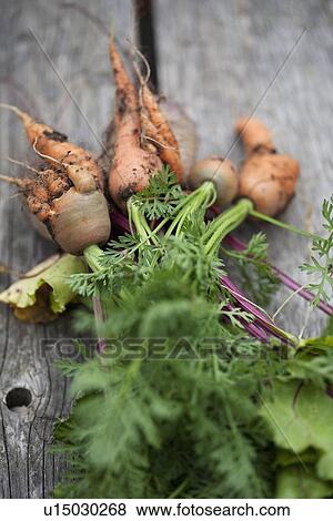 Close up of carrots and beetroots View Large Photo Image Stock Photo - Close up of carrots and beetroots. Fotosearch