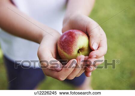 Close up of cupped hands holding fruit View Large Photo Image Stock Photography - Close up of cupped hands holding fruit. Fotosearch