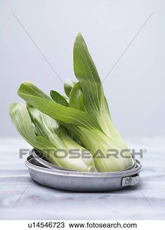 Close up of pak choi in metal bowl View Large Photo Image Stock Image - Close up of pak choi in metal bowl. Fotosearch