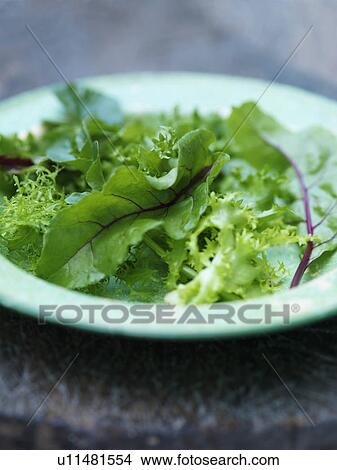 Close up of plate of mixed greens View Large Photo Image Picture - Close up of plate of mixed greens. Fotosearch