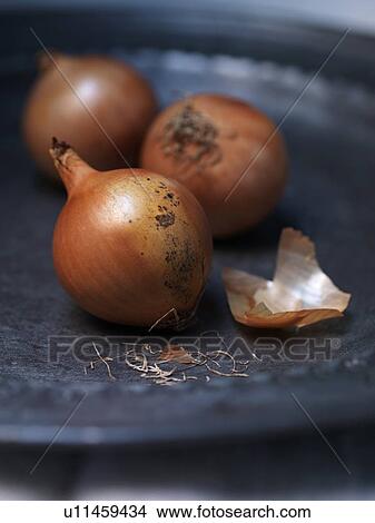 Picture - Close up of plate of onions. Fotosearch