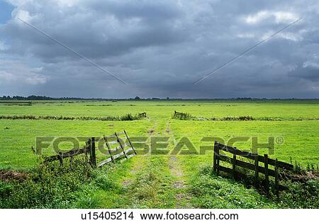 Dirt path in rural meadow View Large Photo Image Picture - Dirt path in rural meadow. Fotosearch