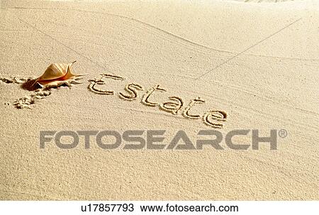 Estate written in sand View Large Photo Image Stock Image - Estate written in sand. Fotosearch