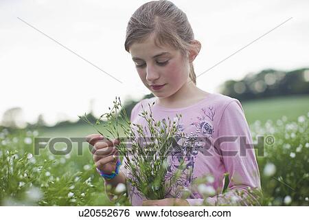 Girl picking flowers in field View Large Photo Image Stock Photograph - Girl picking flowers in field. Fotosearch