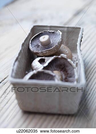Punnet of button mushrooms View Large Photo Image Stock Photography - Punnet of button mushrooms. Fotosearch
