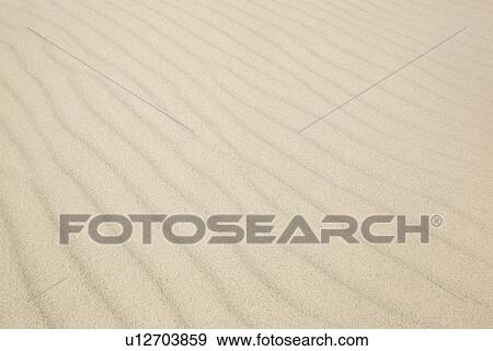 Ripples in sand dunes View Large Photo Image Stock Photo - Ripples in sand dunes. Fotosearch