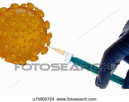 Picture - Scientist injecting fluid into spores. Fotosearch