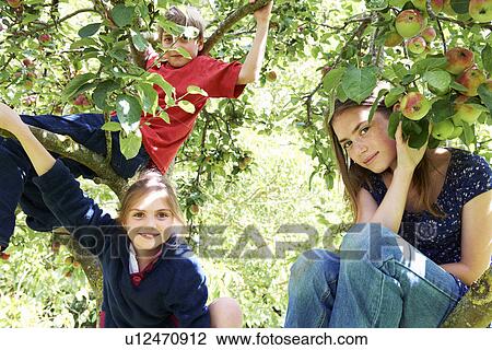Stock Image - Smiling children climbing tree together. Fotosearch