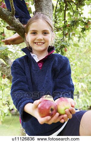 Smiling girl offering fruit in tree View Large Photo Image Stock Photograph - Smiling girl offering fruit in tree. Fotosearch