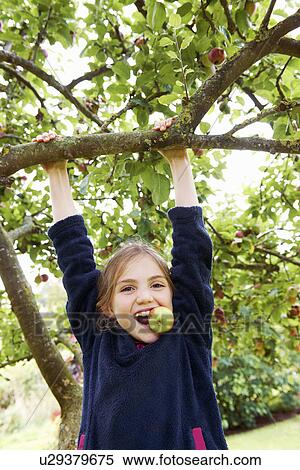 Smiling girl playing in fruit tree View Large Photo Image Stock Photography - Smiling girl playing in fruit tree. Fotosearch