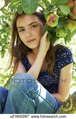 Smiling girl sitting in fruit tree View Large Photo Image Stock Photo - Smiling girl sitting in fruit tree. Fotosearch