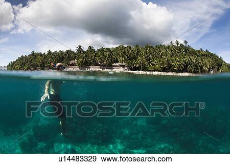 Snorkeler swimming in tropical water View Large Photo Image Stock Photo - Snorkeler swimming in tropical water. Fotosearch