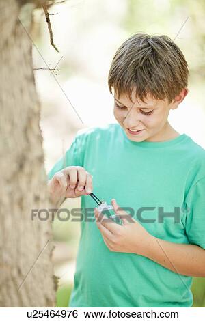 Student examining plants outdoors View Large Photo Image Stock Photograph - Student examining plants outdoors. Fotosearch