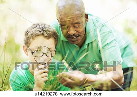 Student examining plants with teacher View Large Photo Image Stock Photo - Student examining plants with teacher. Fotosearch