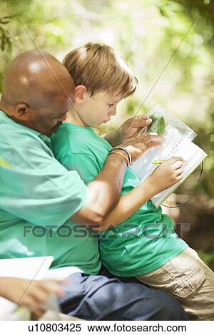 Student examining plants with teacher View Large Photo Image Stock Photography - Student examining plants with teacher. Fotosearch