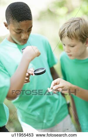 Students examining plants outdoors View Large Photo Image Stock Image - Students examining plants outdoors. Fotosearch