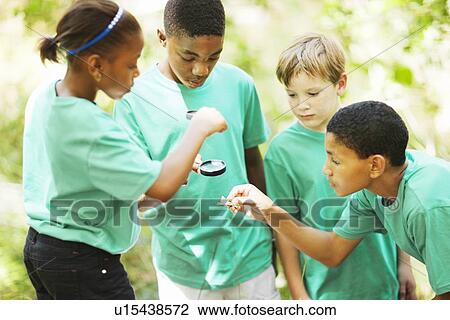 Students examining plants outdoors View Large Photo Image Stock Image - Students examining plants outdoors. Fotosearch