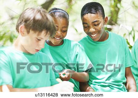 Students examining plants outdoors View Large Photo Image Stock Photo - Students examining plants outdoors. Fotosearch