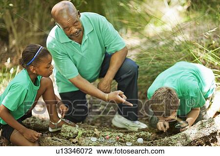 Students examining plants with teacher View Large Photo Image Stock Image - Students examining plants with teacher. Fotosearch