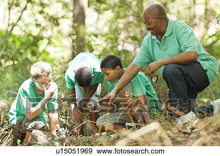 Students examining plants with teacher View Large Photo Image Stock Photo - Students examining plants with teacher. Fotosearch
