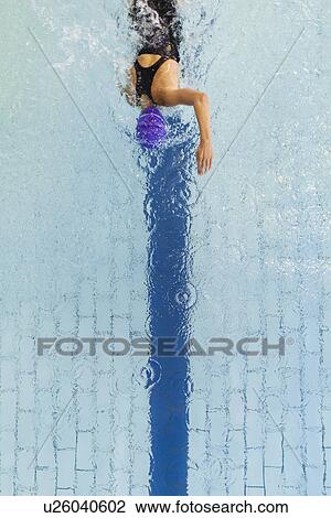 Swimmer following pool lane View Large Photo Image Stock Image - Swimmer following pool lane. Fotosearch