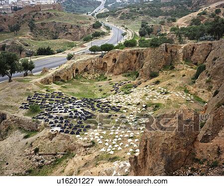Tanned animal hides drying on hillside View Large Photo Image Stock Photo - Tanned animal hides drying on hillside. Fotosearch