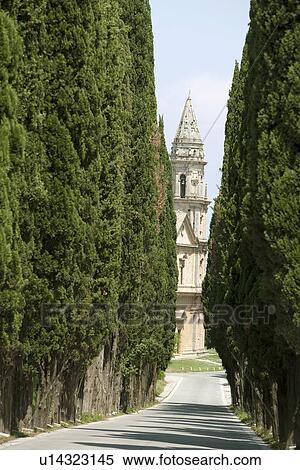 Trees lining road to ornate cathedral View Large Photo Image Stock Photography - Trees lining road to ornate cathedral. Fotosearch
